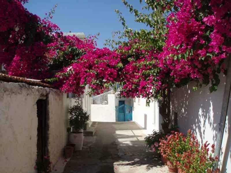 Tourloti Village House Екстер'єр фото